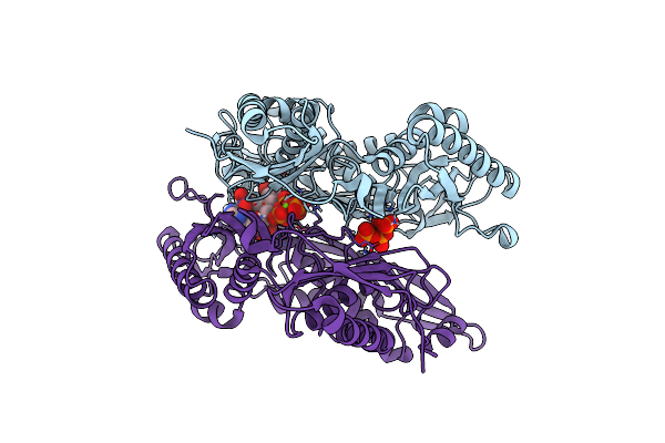 7P84 image