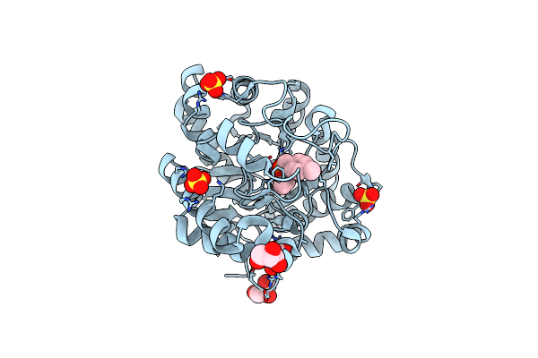 7P85 image