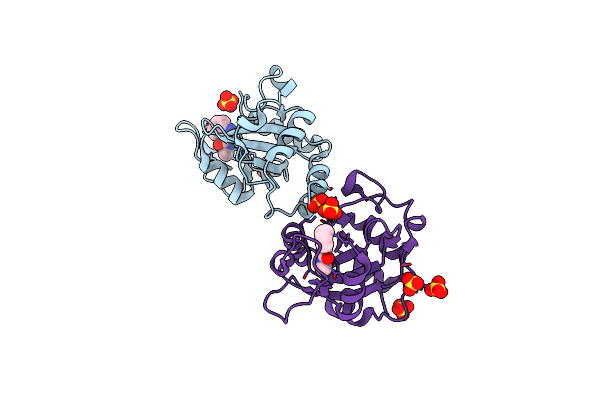 7P87 image