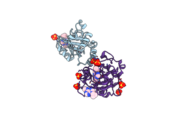 7P8B image