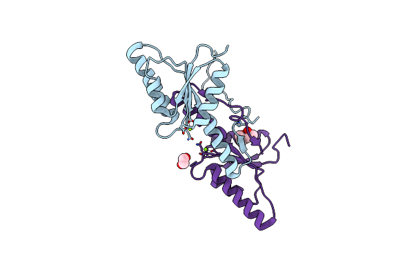 7P8D image