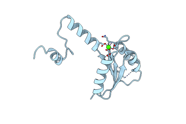 7P8E image