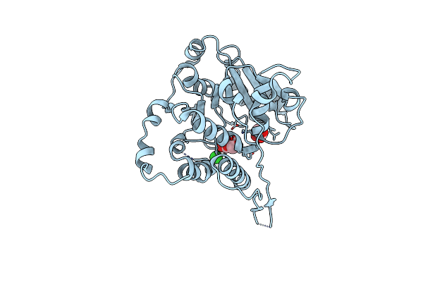 7P8G image