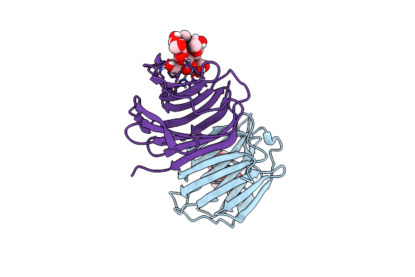 7P8H image