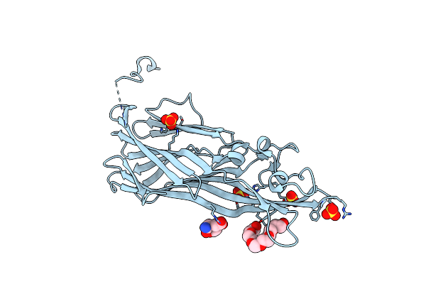 7P8S image