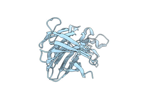 7P8T image