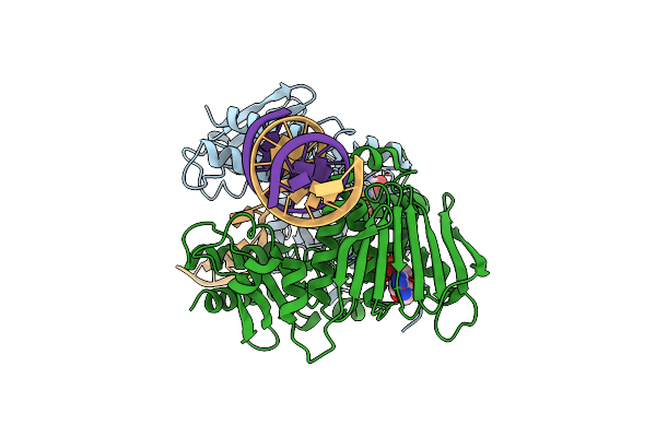 7P8V image