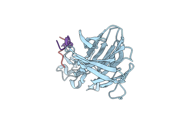 7P93 image