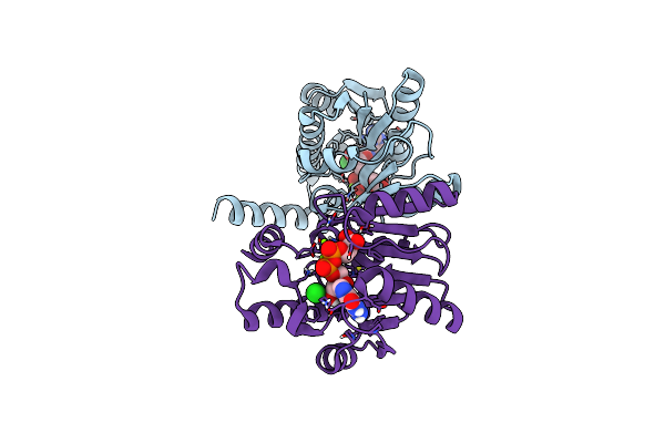 7P97 image