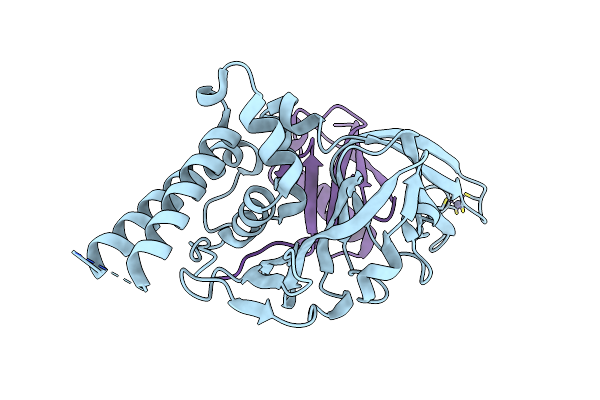 7P99 image