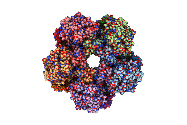 7P9B image
