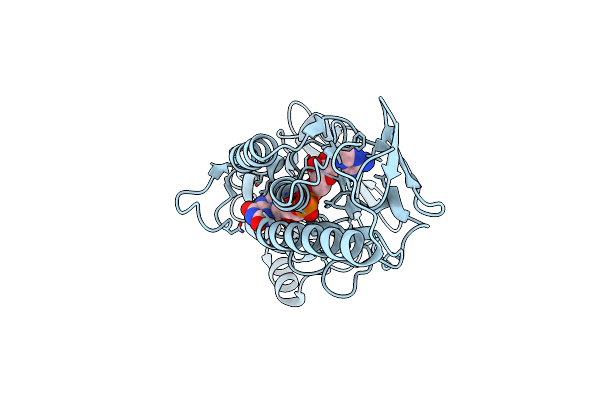 7P9D image