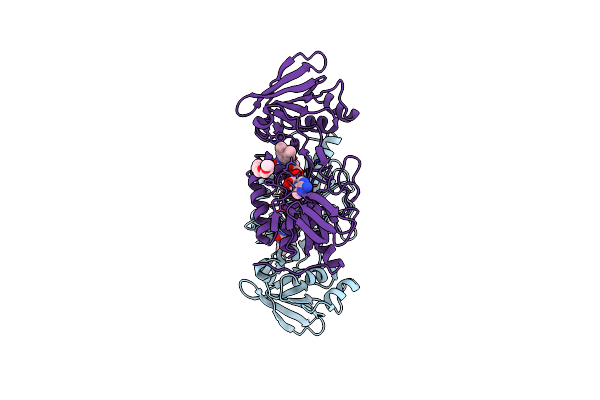 7P9E image
