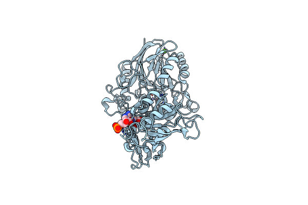 7P9N image