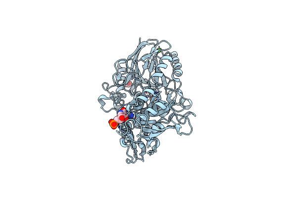 7P9R image