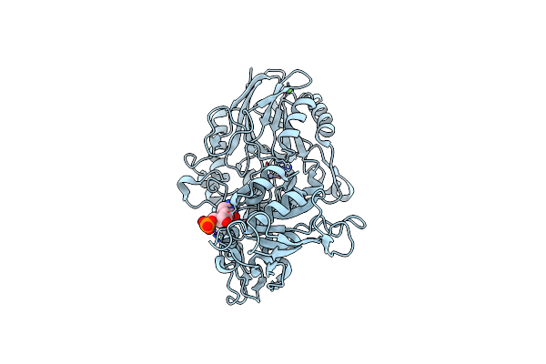 7P9T image