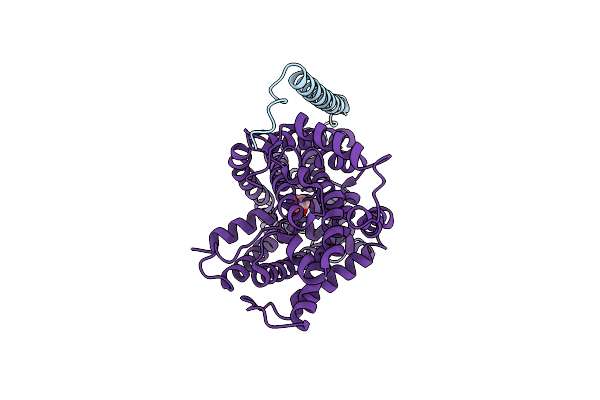 7P9U image