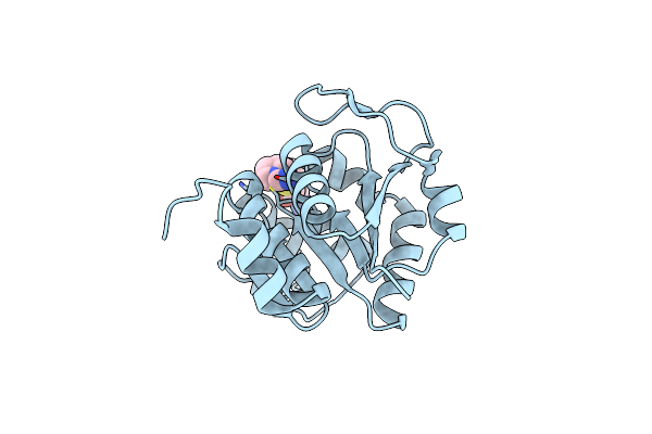 7PA2 image