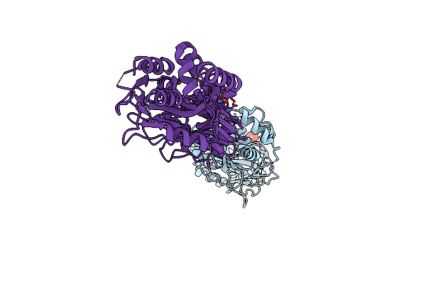 7PAB image