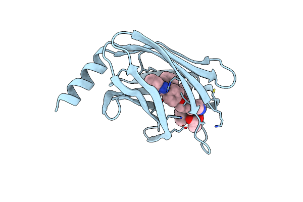 7PAE image