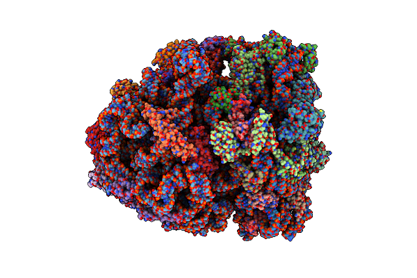 7PAH image