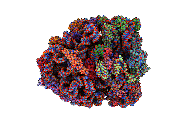 7PAO image