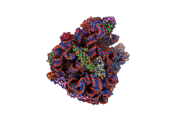 7PAU image