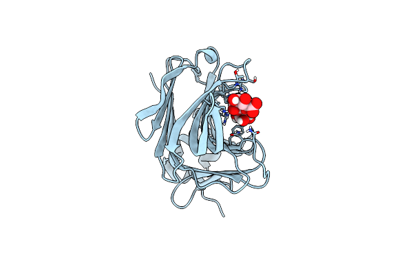 7PBF image