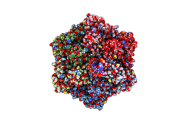 7PBM image