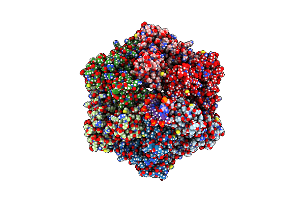 7PBP image