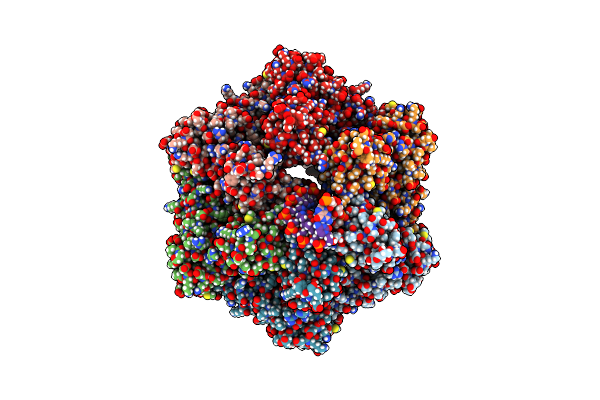 7PBR image