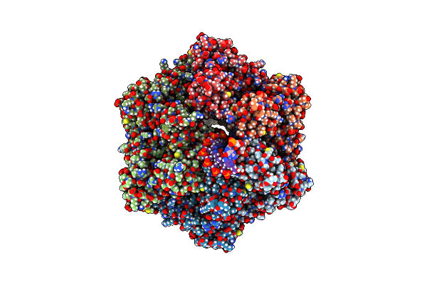 7PBS image