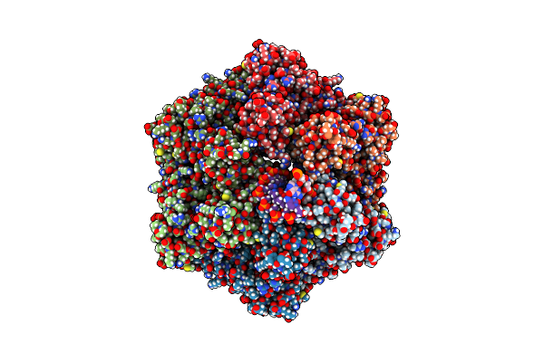 7PBT image