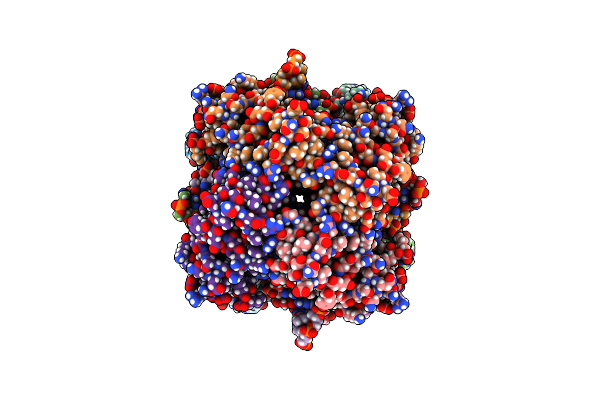 7PBU image