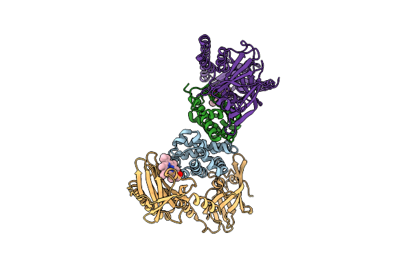 7PCF image
