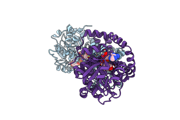 7PCN image