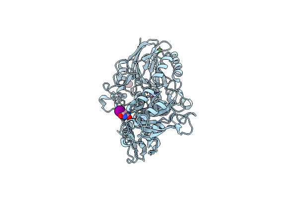 7PCP image
