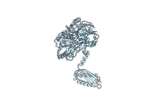 7PCR image