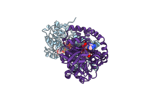 7PCT image