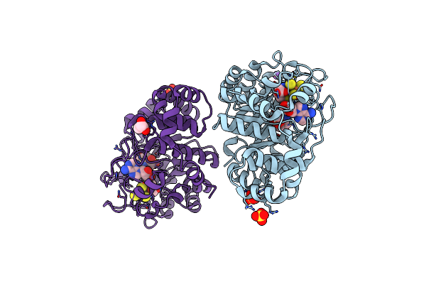 7PD1 image
