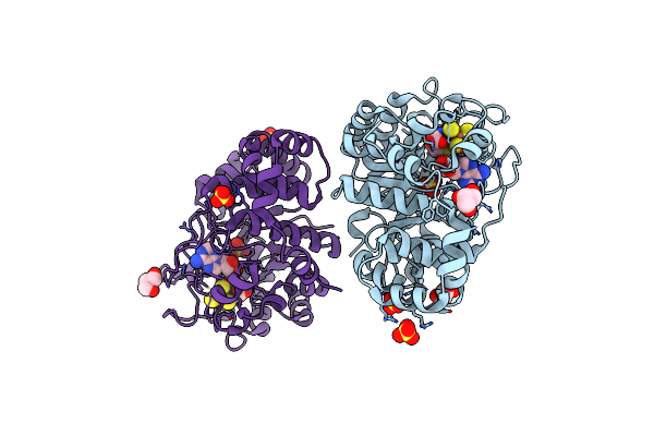 7PD2 image