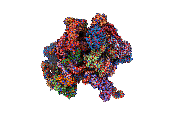 7PD3 image