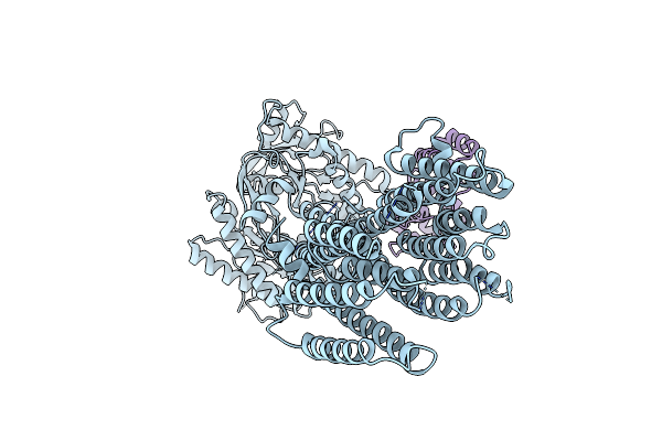 7PD8 image
