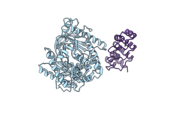7PDD image
