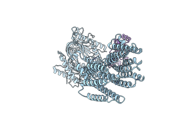 7PDG image
