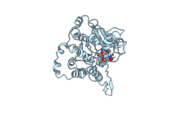 7PDO image