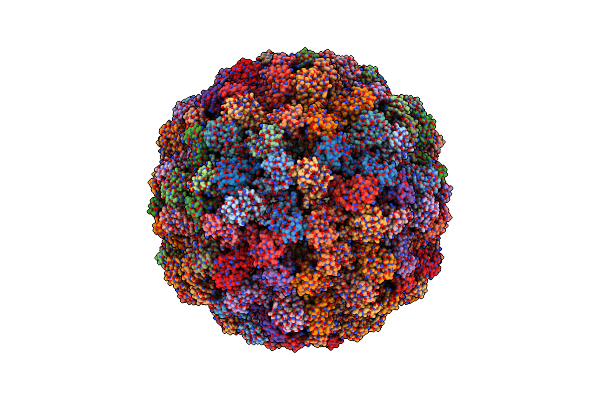 7PE1 image