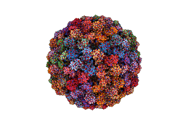 7PE2 image