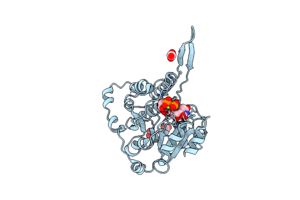 7PE4 image