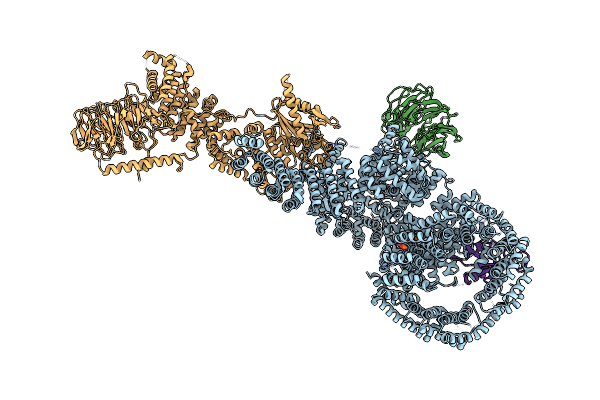 7PEB image